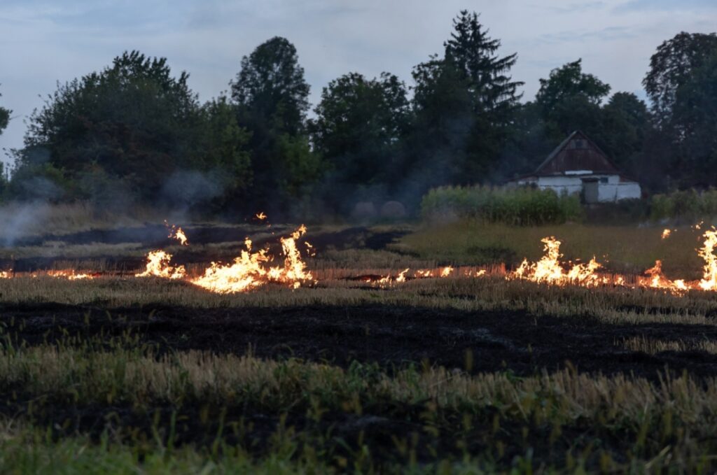 Powiat kolski zmagający się z rosnącym problemem pożarów lasów i traw wynikłych z suszy